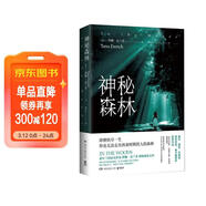 神秘森林 小说