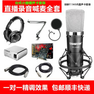 得胜 （TAKSTAR） PC-K600专业大振膜48V电容麦克风手机电脑通用网红直播带货声卡录音话筒唱歌K歌喊麦设备套装全套 创新7.1台式内置A5声卡套装/一对一精调