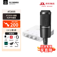 铁三角（Audio-technica） AT2035直播麦克风主播专用 麦克风话筒k歌 主播专业录音话筒 专业设备 电脑麦克风声卡调试 AT2035+迷笛R2 OTG GENII声卡套装