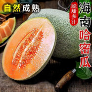 粤迎海南哈密瓜【多地日次达】新鲜冰淇淋蜜瓜水果现摘新鲜香甜多汁 5斤精选果【1-3个瓜】净4.5斤