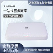 华为（HUAWEI）AR111-S/AR121-S/AR161W-S/AR111EC-S 华为企业级硬件网关路由器 AR111-S (带机量80台)