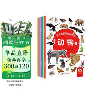 幼儿启蒙认知贴纸书0-6岁（共6册）中英双语认知贴纸书英语启蒙 动物水果蔬菜形状数字字母颜色形状早教生活物品启蒙认知 专注力训练贴纸左右脑开发游戏 