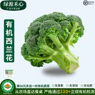 绿源禾心有机西兰花新鲜采摘西蓝花绿花椰菜轻食材沙拉营养健康无农残蔬菜 1斤