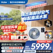 海尔下单立减15%净省电Plus大3匹风管机一拖一3p中央空调新一级能效云璟Pro升级款全直流变频客厅 洗空气 2匹 新房洗空气+直流水泵