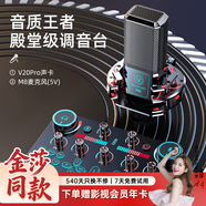 金运 V20声卡直播设备全套麦克风录音套装话筒唱歌手机蓝牙电脑无线变声器电容麦全民K歌抖音快手 入门级【声卡全套+振膜麦】-免调试