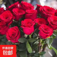 玫瑰花苗老桩绿植物盆栽月季蔷薇老根室内外阳台庭院特大花卉四季 31卡罗拉（老桩苗四季开花）