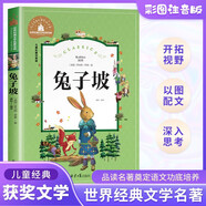兔子坡 彩图注音版 一二三年级课外阅读书必读世界经典儿童文学少儿名著童话故事书 