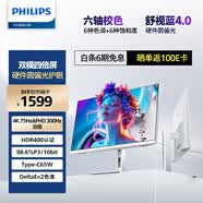 飞利浦27英寸4K 75/300Hz四倍刷新屏 IPS舒视蓝圆偏光双硬件护眼TypeC HDR400设计办公显示器27E2N5901RW