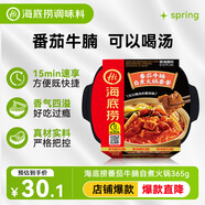 海底捞自热火锅 方便速食出游免煮速食番茄牛腩火锅365g