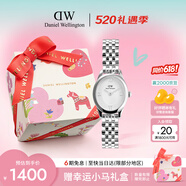 丹尼尔惠灵顿（DanielWellington）DW女士手表复古椭圆精致链条小众轻奢腕表520礼物送女友DW808