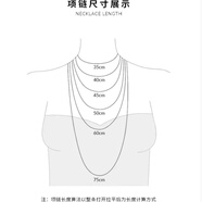 S925银夏以昼项链 小众原创设计轻奢ins时尚精致百搭吊坠 S925银(40+5cm磨砂款)送证书