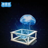 皮皮豆 diy抖音3D全息投影裸眼立体投影仪儿童手工科技小制作科学小实验套装新年生日跨年礼物男孩女孩