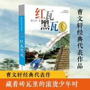 曹文轩纯美小说：红瓦黑瓦/国际安徒生奖得主曹文轩长篇代表作品之一，视角独特，故事跌宕起伏、震撼人心，描写诗意，充满对少年的关怀。 