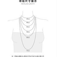 S925银夏以昼项链 小众原创设计轻奢ins时尚精致百搭吊坠 S925银(40+5cm亮面款)送证书