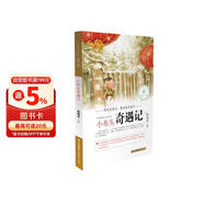 小布头奇遇记 中国当代儿童文学童话故事书 小学生课外阅读故事书 