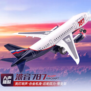 翊玄玩具 波音787飞机模型仿真合金玩具民航客机航空手办男孩礼物