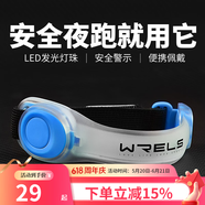 瑞尔士（WRELS）夜跑发光手臂带led运动手环骑行安全灯绑腿束裤带警示跑步手臂灯 天空蓝（充电款） 小码（推荐体重140斤以内）