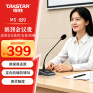 得胜（TAKSTAR）MS-189会议麦克风 台式鹅颈有线话筒 专业演出舞台主持麦克风 典雅黑