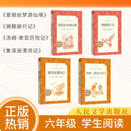 【六年级下】4种4本 鲁滨逊漂流记 骑鹅旅行记 汤姆索亚历险记 爱丽丝梦游仙境 学生阅读