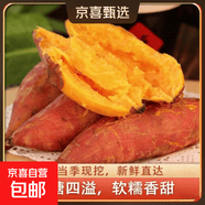现挖沙地蜜薯红薯新鲜农家糖心番薯烤地瓜软糯批发黄心包邮 沙地蜜薯9斤中小果 含箱