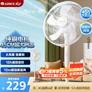 格力（GREE）【巨风量大机头】大风量落地扇家用电风扇摇头轻音柔风电扇科技风节能宿舍风扇 FD-40X77Bh5
