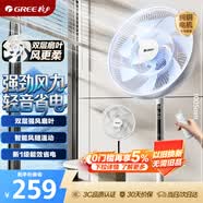 格力（GREE）【双层扩风扇叶】立式电风扇大风量家用落地扇广角摇头定时遥控电扇台地两用落地扇 FSZ-30X65Bg7