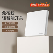 德力西（DELIXI）无线遥控开关 免布线免网络 轻智能开关 一位随意贴 白色