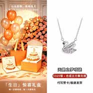 奥斯坦汀S925银项链天鹅吊坠轻奢高级感锁骨链情人节生日礼物送女朋友老婆 天鹅之梦项链-生日专属礼盒 单条