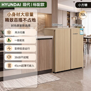 HYUNDAI韩国小方糖卧式冰箱家用小型一级无霜变频静音卧室小冰箱45厘米超薄 45厘米超薄 一级变频风冷无霜 木色