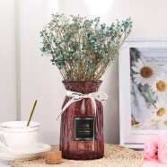 盛世泰堡透明花瓶玻璃摆件干花仿真花水培植物水养插花瓶 酒红色18cm