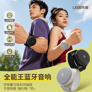 乐毒（Ledo）WS18燕麦灰手表蓝牙音箱多功能迷你浴室音响家用磁吸腕带领夹户外防水大音量高音质便携式随身音箱
