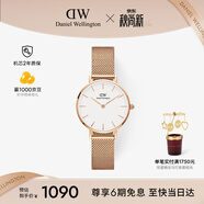 丹尼尔惠灵顿（DanielWellington）DW女士手表轻奢流金简约石英欧美腕表教师节礼物送女友DW219