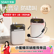 索爱（soaiy）S318小蜜蜂扩音器教师专用蓝牙音箱音响老师教学讲课喇叭腰挂麦克风导游便携式喊话礼物TF卡U盘 黑
