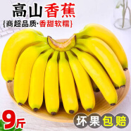NESSA天宝蕉大香蕉薄皮香蕉自然熟当季新鲜水果高山香蕉高山甜蕉带箱 3斤
