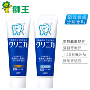 狮王(Lion)经典大蓝管健齿牙膏套装 分解牙垢防蛀固齿130g*2(日本原装进口)温和+清新