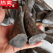 SNQP高端品质香港唐强专柜珠宝1 黑水牛角尖全实心原料DIY手工艺品雕 11-14cm实心黑水牛角尖一只