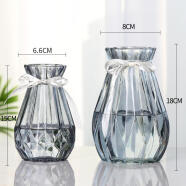 神瓶八玻玻璃干花透明花瓶欧式水培绿萝植物客厅摆件百合插描口加高花瓶 水中花（18+15）烟灰组合
