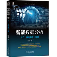 智能数据分析：入门、实战与平台构建