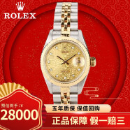 【二手95新】劳力士（ROLEX）日志型系列 自动机械 女士手表 瑞士女表 18K黄金后镶钻 26mm 间金 69173电脑盘后镶钻