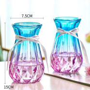 欧式玻璃花瓶家居装饰品客厅摆件插干花 水培富贵竹陶瓷花瓶摆件 南瓜(15蓝紫色)2个 促销+送精美丝带
