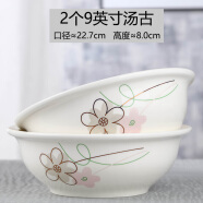 2个汤古大碗创意家用陶瓷汤碗可爱吃泡面碗大号个性微波炉专用碗 2个9英寸汤古(七彩)