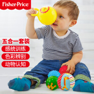 费雪(Fisher-Price)宝宝初级训练球五合一套装 婴幼儿童玩具球小皮球男女孩F0906生日礼物礼品送宝宝
