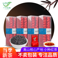 一叶香飘 小种红茶茶叶 2024新茶桂圆香 500g/5g*100包