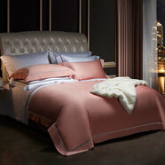 哈他家纺 100支长绒棉纯色镂空工艺四件套 奢华五星级酒店总统套房风格床品 全镂空-粉玉 2米床(被套220*240cm)