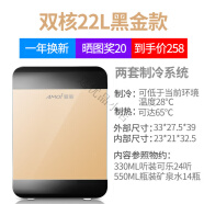 夏新（Amoi）迷你小冰箱mini家用宿舍车载冷冻冷藏母乳一人小型冰柜 双核22L黑金款(车家两用)