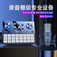 mivsn 魅声G8S-P1声卡直播设备全套唱歌手机专用 电脑抖音快手主播套装录音电容麦克风话筒 G8S-H4（录音棚级48V音质）