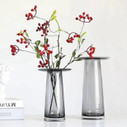 豪斯特丽 北欧客厅水培透明玻璃花瓶  样品间简约装饰摆件花器 烟灰小号高20CM