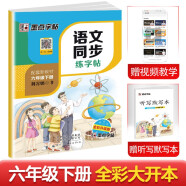 墨点字帖 2024年春 语文同步六年级下册 笔顺笔画同步练字帖视频版 赠听写默写本 人教版六年级课外阅读铅笔字帖楷书描红本生字偏旁部首拼音控笔训练字帖 （共2册)