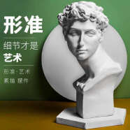 可狄石膏头像美术教具素描大号人物模型人像静物雕塑装饰摆件雕像 小卫高约31cm