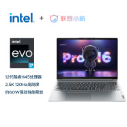 联想笔记本电脑小新Pro16 2022 英特尔酷睿i7 高性能游戏轻薄本(12代i7-12700H 16G 512G 2.5K 120Hz)办公